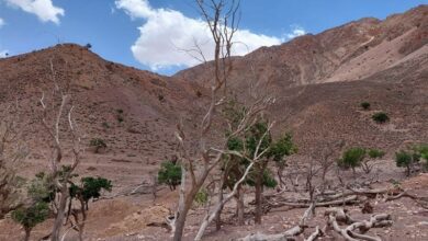 تعاني مدينة برشلونة الإسبانية من الجفاف الشديد