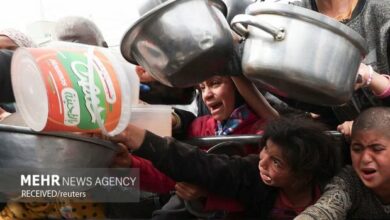 400 ألف فلسطيني معرضون لخطر الموت جوعا