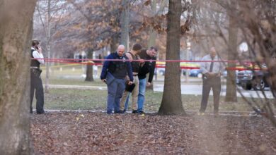 إطلاق نار في حديقة بمدينة شيكاغو / مقتل وجرح 4 أشخاص