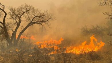 حريق في ولاية تكساس / أعلن الحاكم حالة الطوارئ