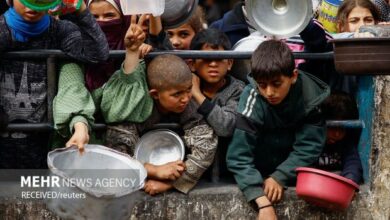 لا يجد الأطفال الفلسطينيون في شمال قطاع غزة أي شيء يأكلونه