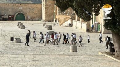 اعتداء المستوطنين الصهاينة على المسجد الأقصى + فيديو