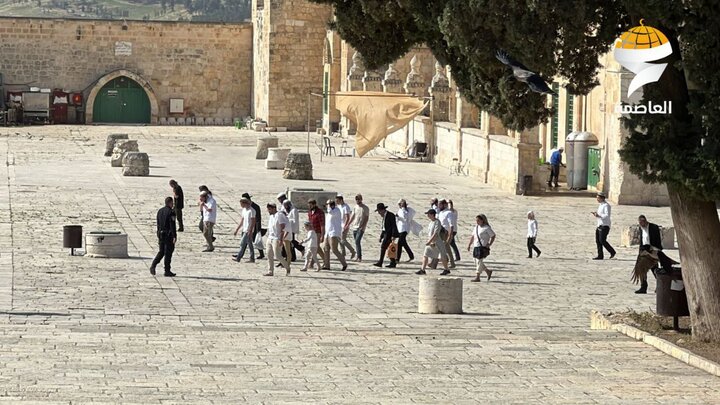 اعتداء المستوطنين الصهاينة على المسجد الأقصى + فيديو