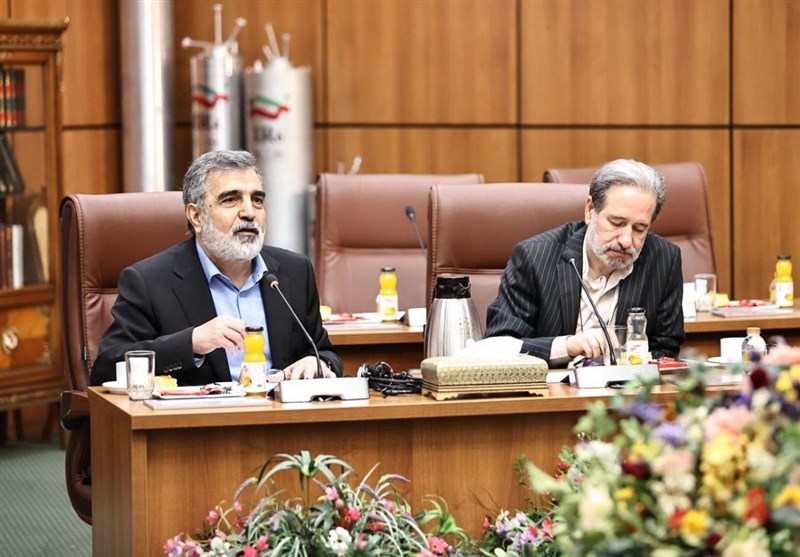 وأعلنت إيران استعدادها للتعاون في مجال التكنولوجيا النووية