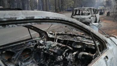 حريق غابة في نيو مكسيكو أدى إلى ضحيتين/إجلاء 8000 شخص