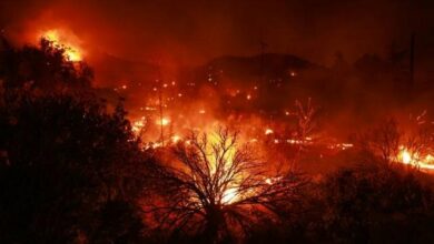 حريق مروع في كاليفورنيا وإجلاء ألف شخص