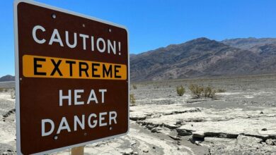 موجة حر شديدة في أمريكا / درجة الحرارة في بعض الولايات تصل إلى ثلاثة أرقام!