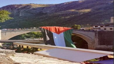 رفع العلم الفلسطيني في البوسنة والهرسك + فيديو