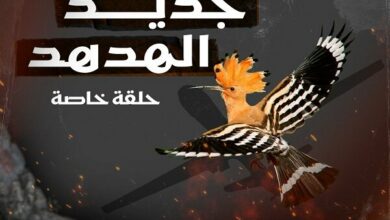 عملية حزب الله الجديدة “الهدهد 3” في سماء الأراضي المحتلة + فيديو