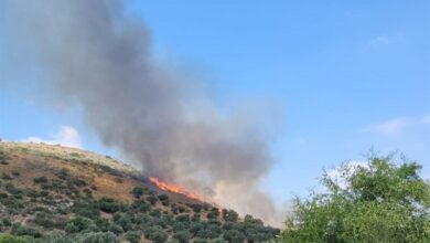 وسائل إعلام عبرية: حزب الله أضرم النار في فلسطين المحتلة