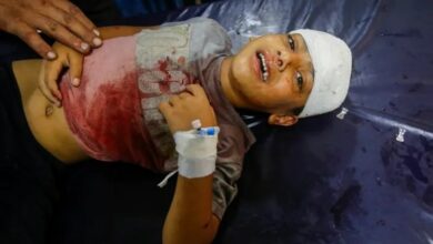 بعض جرائم الصهاينة البشعة في العام الماضي حسب الإحصائيات
