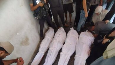 مراسل الأمم المتحدة: إسرائيل تحاول تدمير الشعب الفلسطيني بأكمله