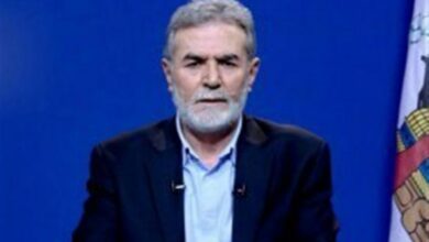 النخلة للشيخ نعيم قاسم: حزب الله لم يدخر شيئاً من أجل فلسطين
