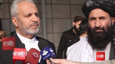 بيكديلي: للمهاجرين الأفغان الشرعيين مكان في أعيننا