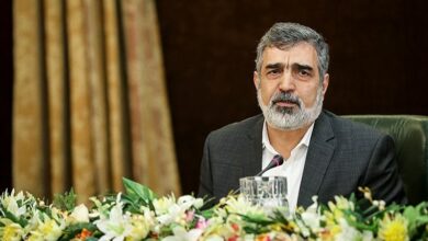 كمالوندي: لم يكن من المفترض أن نوقف التخصيب بنسبة 60%