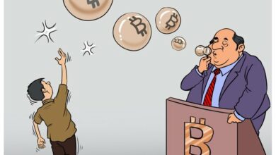 ما مقدار الربح الذي قدمته عملة البيتكوين في كل فترة؟ + الرسم البياني