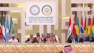 مسودة بيان قمة الرياض/التأكيد على مركزية القضية الفلسطينية
