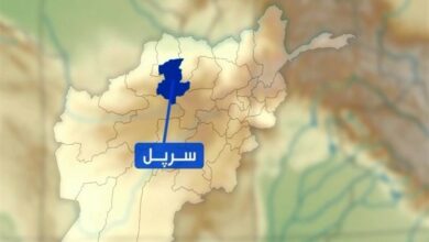 وطالب علماء الشيعة في “صربول” بتلبية مطالب الشيعة