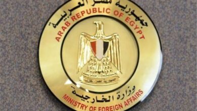 دعوة مصر للأطراف السورية إلى تبني عملية سياسية شاملة