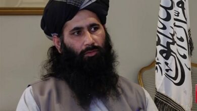 نعيم: نريد علاقات مع كافة الدول في إطار المبادئ الإسلامية