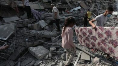 كارثة لاجئي غزة من تجميد الأطفال إلى هجوم الفئران على الخيام