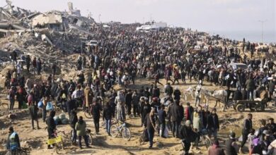 ولاية غزة: نحن بحاجة إلى أكثر من 100000 خيمة للاجئين