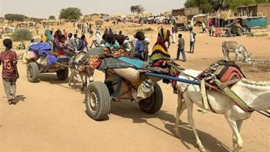 أكثر من 60،000 النزوح السوداني في شمال دارفور