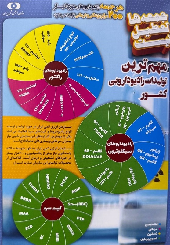 صنعت هسته‌ای , سازمان انرژی اتمی ایران , 