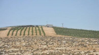 خطة إسرائيل لابتلاع النزوح الفلسطيني الصامت
