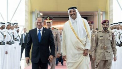 دخول Elsecis إلى قطر