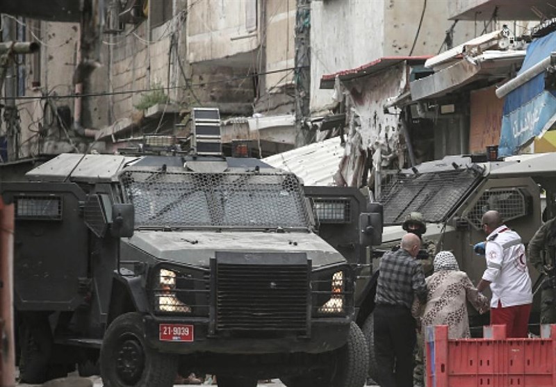 سقط الصهاينة في حياة الضفة الغربية مع الخنازير!