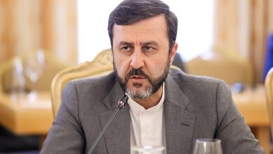 غاريب أبادي التركيز على التعددية ورفض الإجراءات من جانب واحد