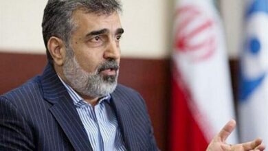 كمالفاندي: يأتي نائب جروسي إلى طهران
