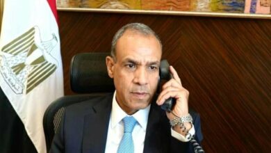 مصر تبحث مع غروسي الملف النووي الإيراني وتؤكد على أهمية خفض التوتر /مصر , إيران , الملف النووي , الوكالة الدولية للطاقة الذرية , رافائيل غروسي