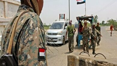 عناصر مدعومة إماراتياً تسيطر على محافظة يمنية قرب الحدود العمانية /اليمن , المهرة , الإمارات , أنصار الله , السعودية